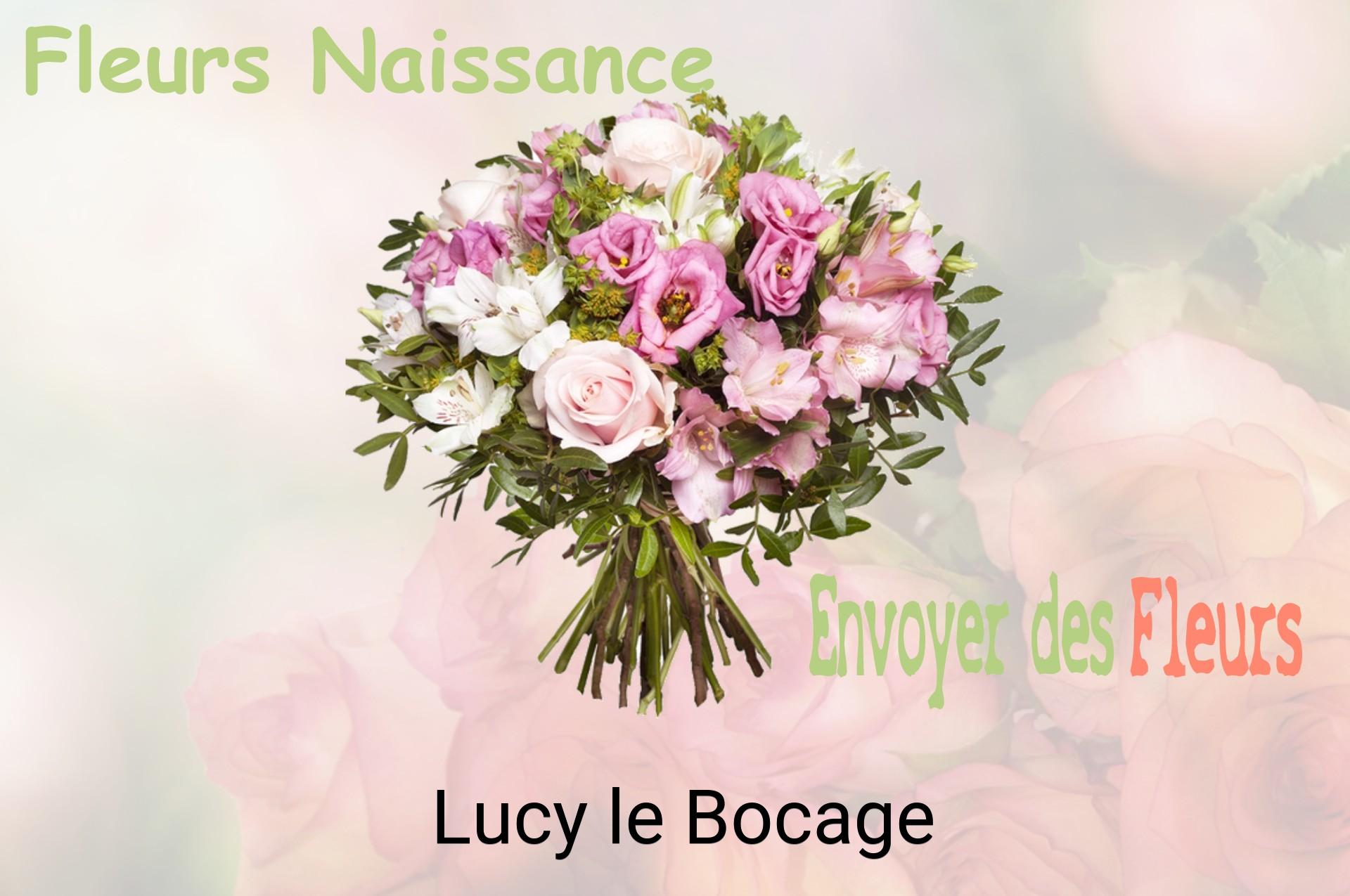 Bouquet de fleurs de naissance livré à Lucy-le-Bocage
