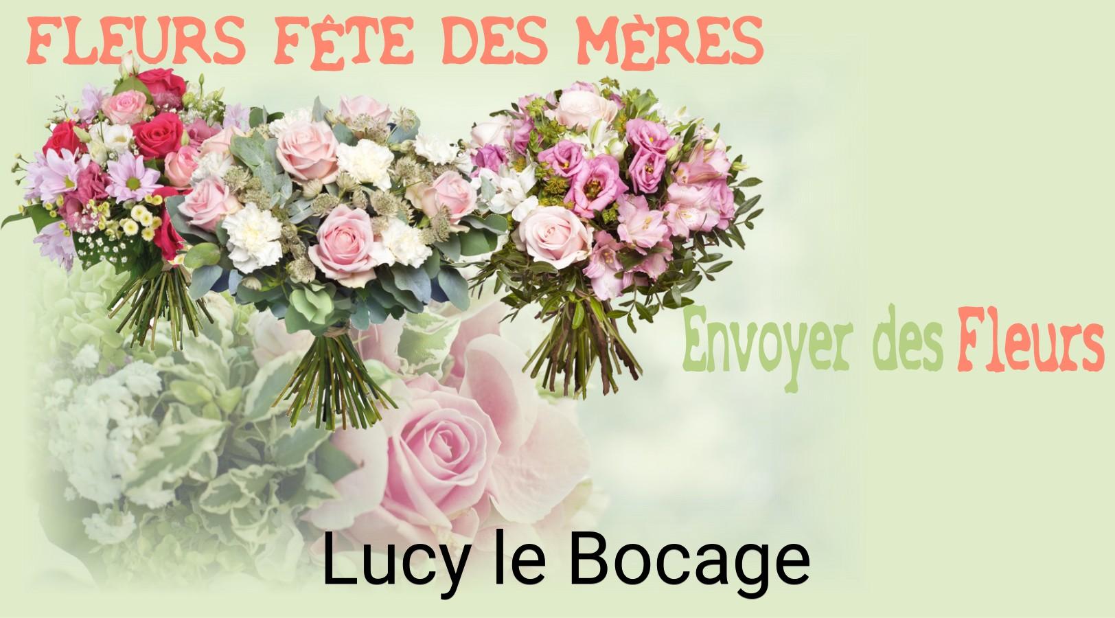 Bouquet de Fête des Mères livré à Lucy-le-Bocage